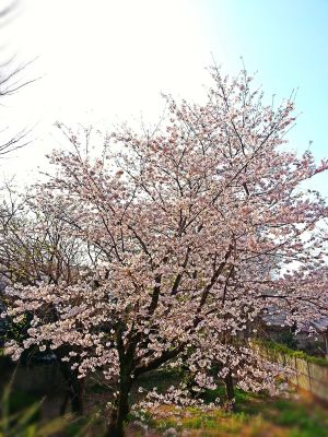 ice_2018-03-28-13-26-48-747